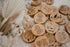 QTOYS - Animal Alphabet Set